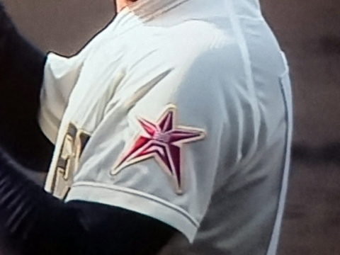 青森県代表 八戸学院光星高校|2016年夏の甲子園出場校のユニフォーム